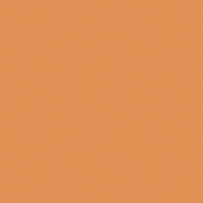 Orange Rec Set
